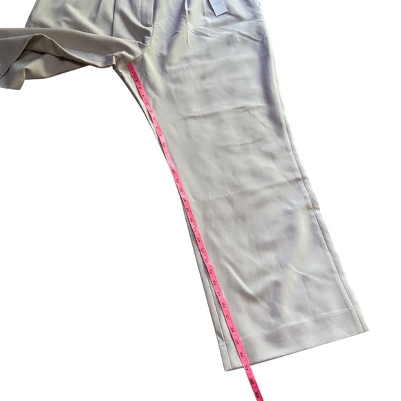 NWT Abercrombie A&F Sloane Tailored Wide Leg Pant Light Taupe 34 Curve Love - Picture 14 of 16
